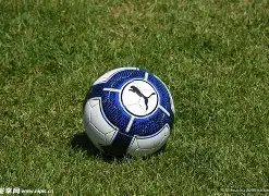 PINBO SPORT,拼搏体育,资讯,拼搏体育,(PINBO,SPORT),Pinbo拼搏体育官网,Pinbo拼搏体育在线,Pinbo拼搏体育平台