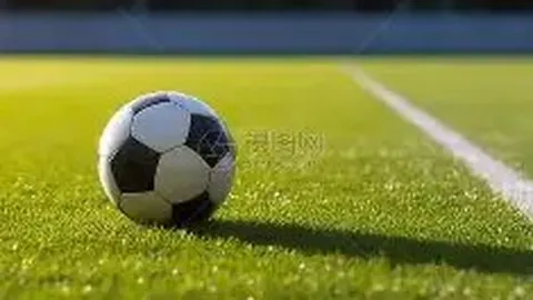 城北小学篮球队在2025年船山区中小学生篮球赛上取得优异成绩