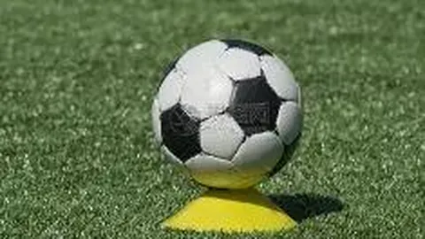 拼搏体育 (PINBO SPORT) 产品 104824 o2q