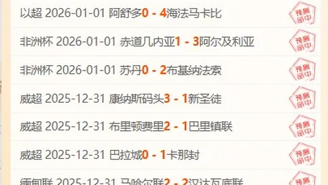 《阿森纳奢华VIP之旅引争议：工薪球迷望尘莫及的昂贵体验》