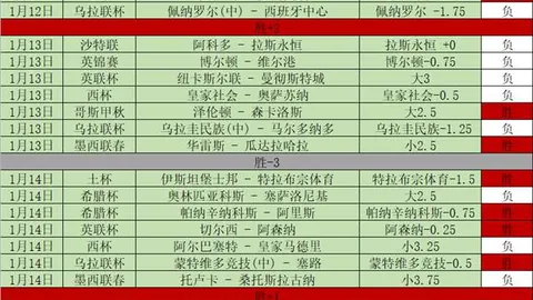 门兴格拉德巴赫连续两战德甲失利